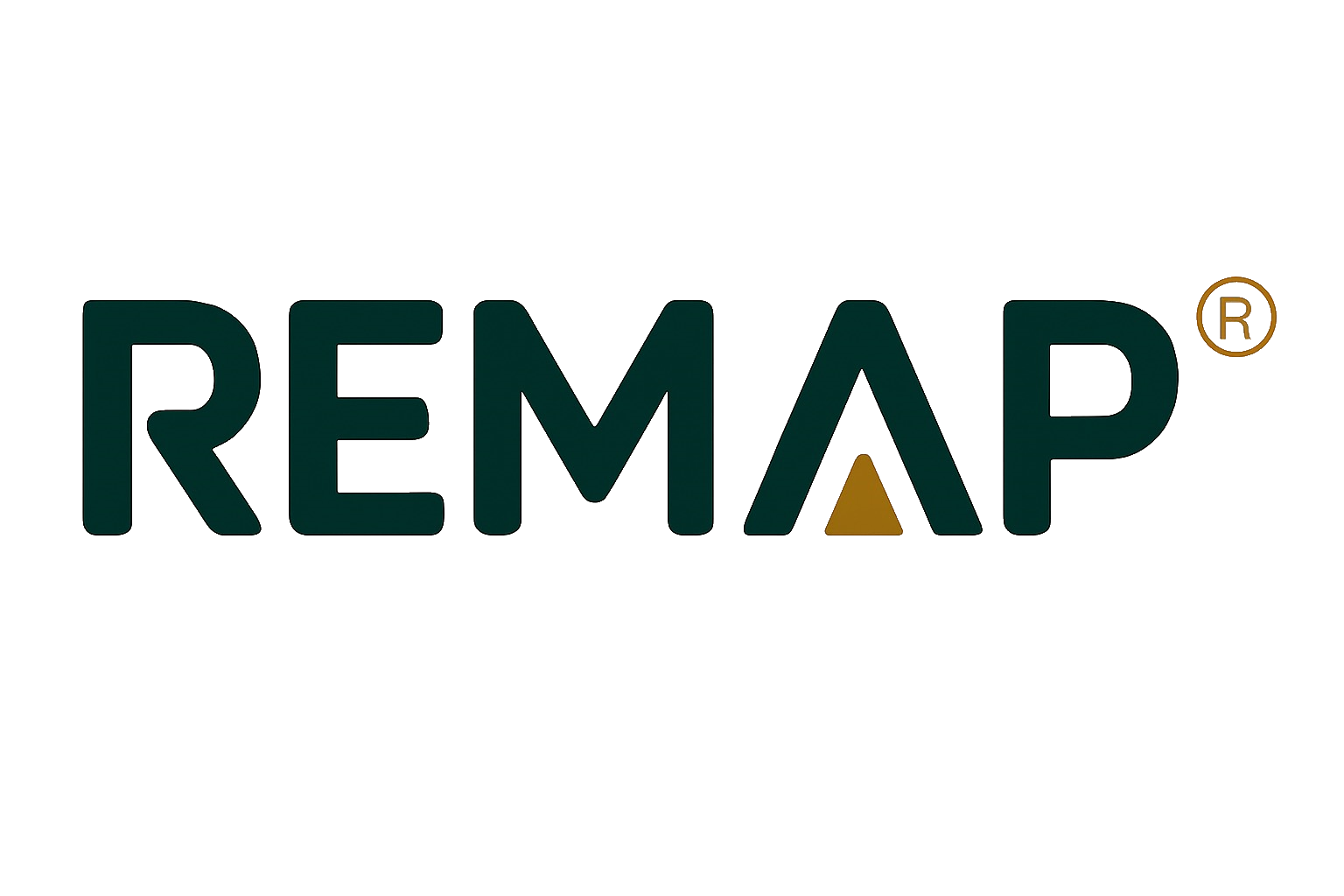 remap.com.tr